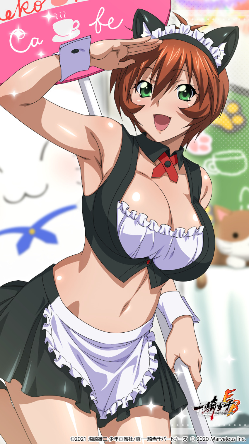 Ikkitousen Rule 34 Image