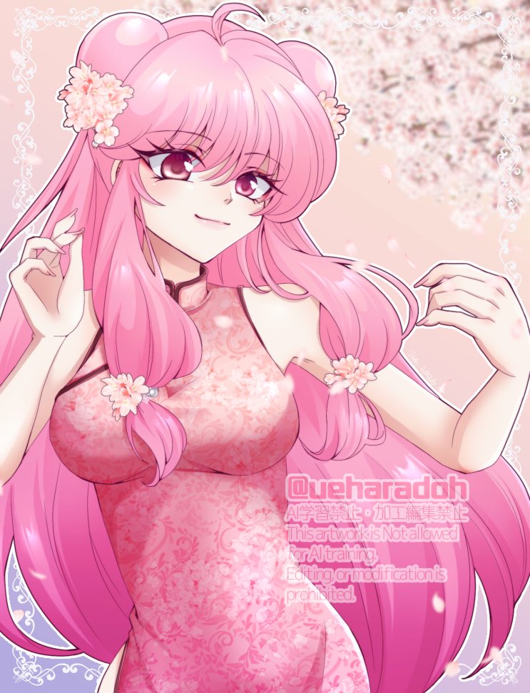 Shampoo (Ranma 1/2) Rule 34 Image