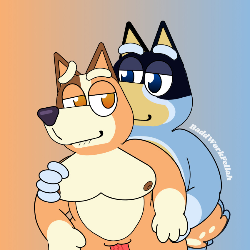 Bandit Heeler (Bluey (Series)) Rule 34 Image