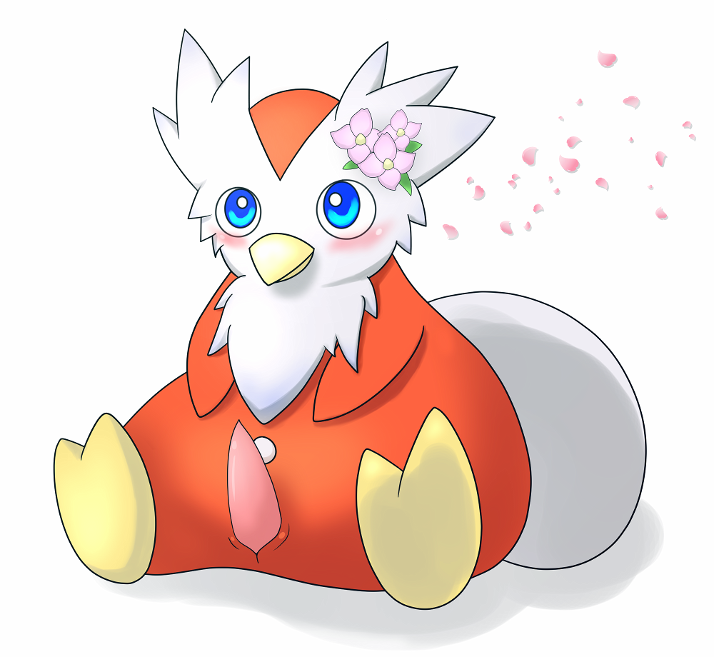 Delibird (Nintendo) Rule 34 Image