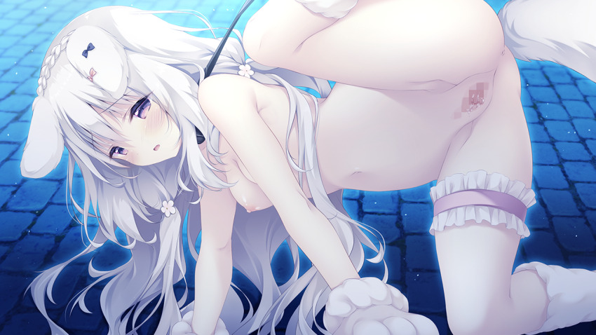 Shiratama (Shiratamaco) Rule 34 Image