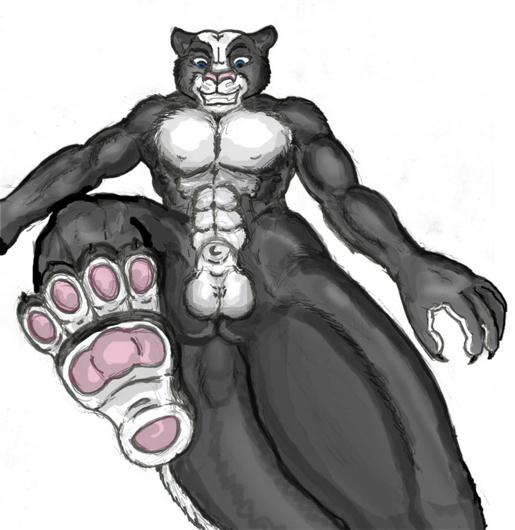 Anthro Rule 34 Image