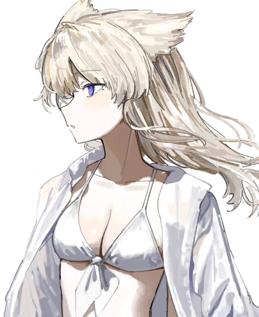 Perlica (Arknights) Rule 34 Image