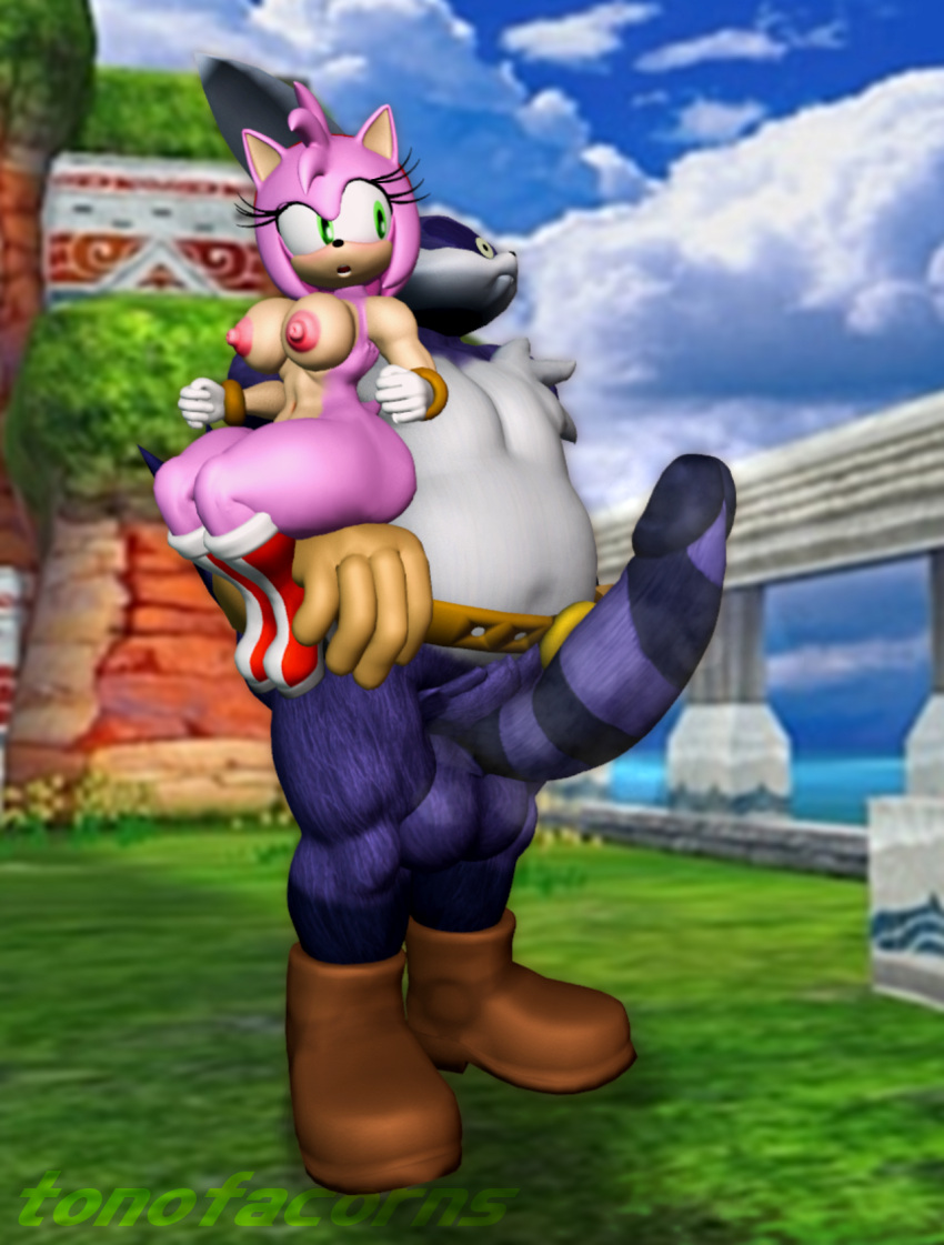 Amy Rose (Sonic (Series)) Rule 34 Image