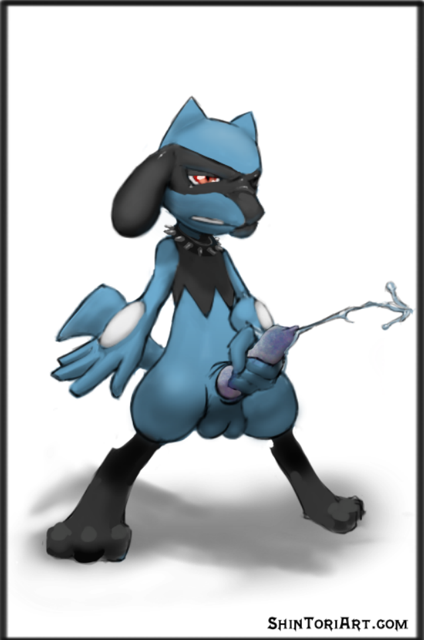 Riolu (Nintendo) Rule 34 Image
