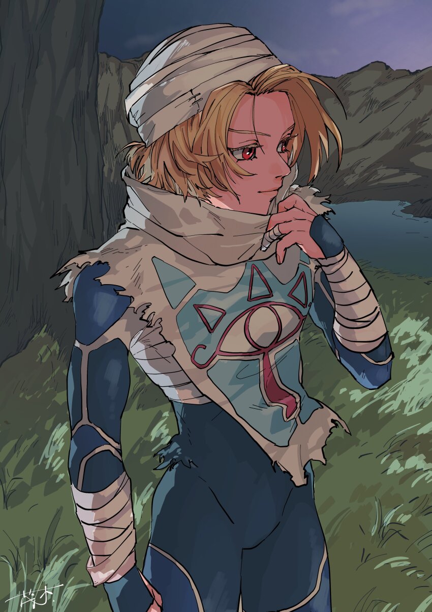Sheik (Nintendo) Rule 34 Image