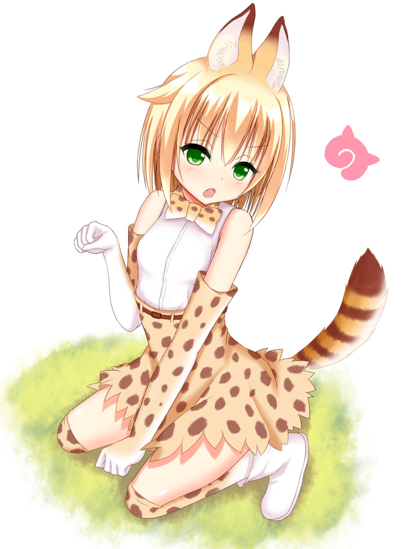 Kariya Wakana (Kemono Friends) Rule 34 Image