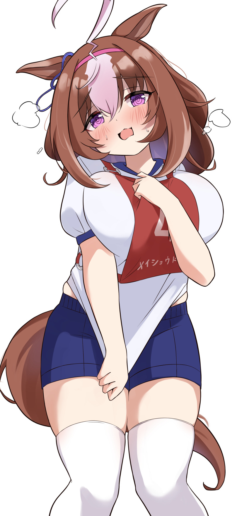Meisho Doto (Umamusume) Rule 34 Image