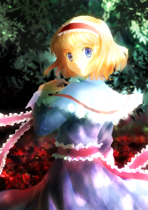 Alice Margatroid (Touhou) Rule 34 Image