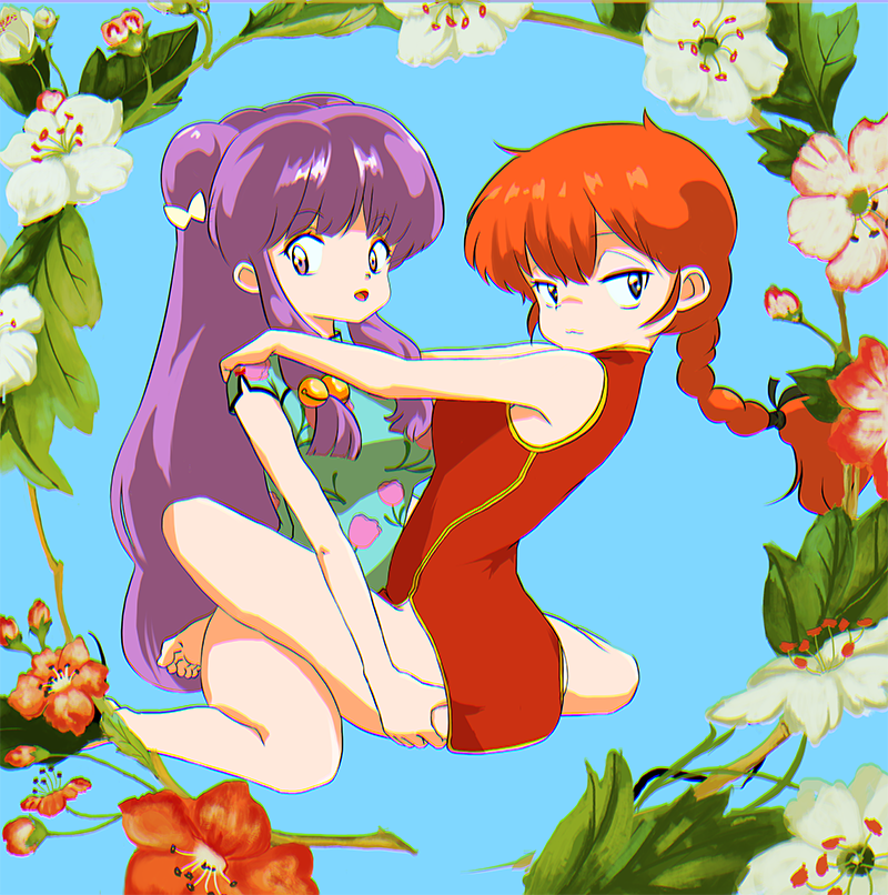 Shampoo (Ranma 1/2) Rule 34 Image