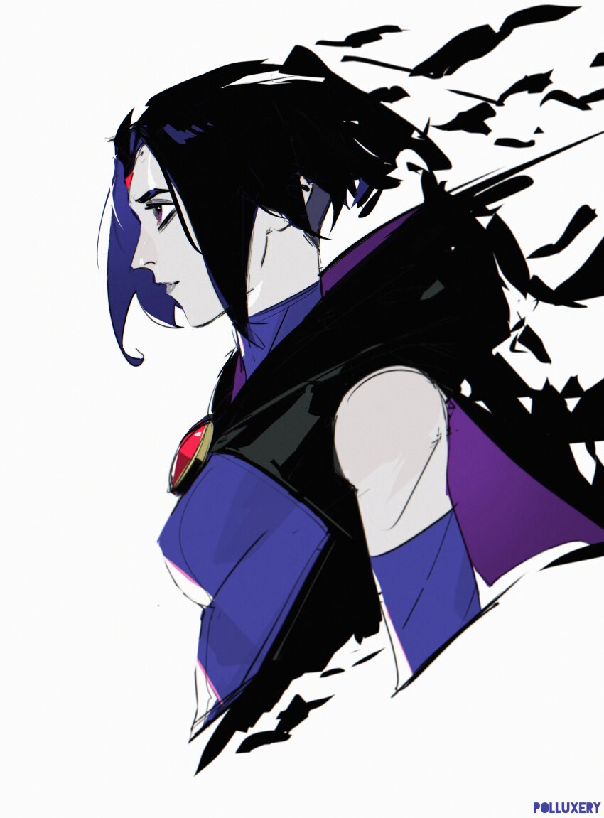 Raven (Dc) Rule 34 Image