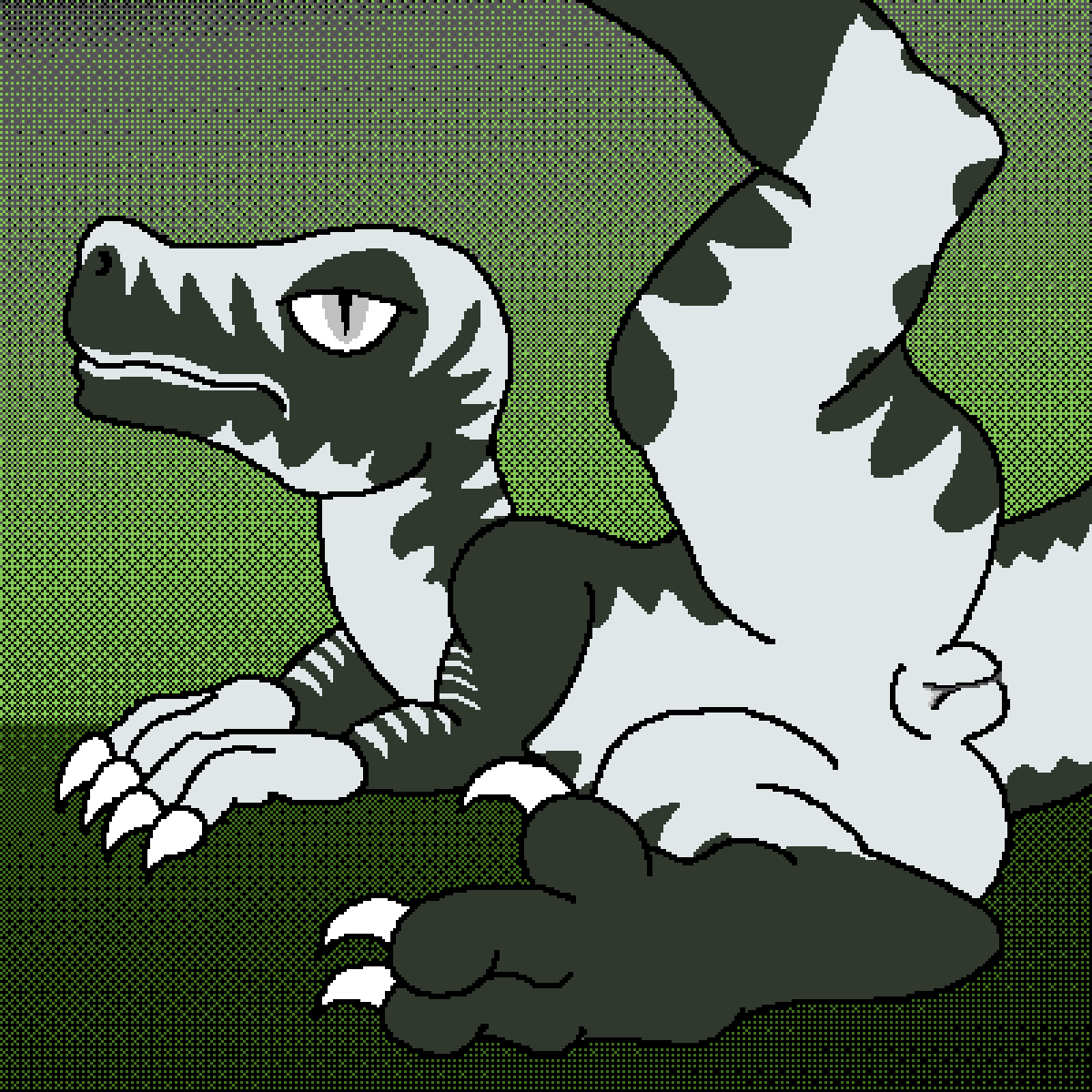Belly Rule 34 Image