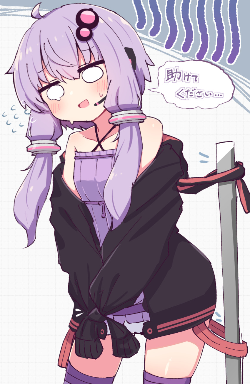 Yuzuki Yukari (Vocaloid) Rule 34 Image