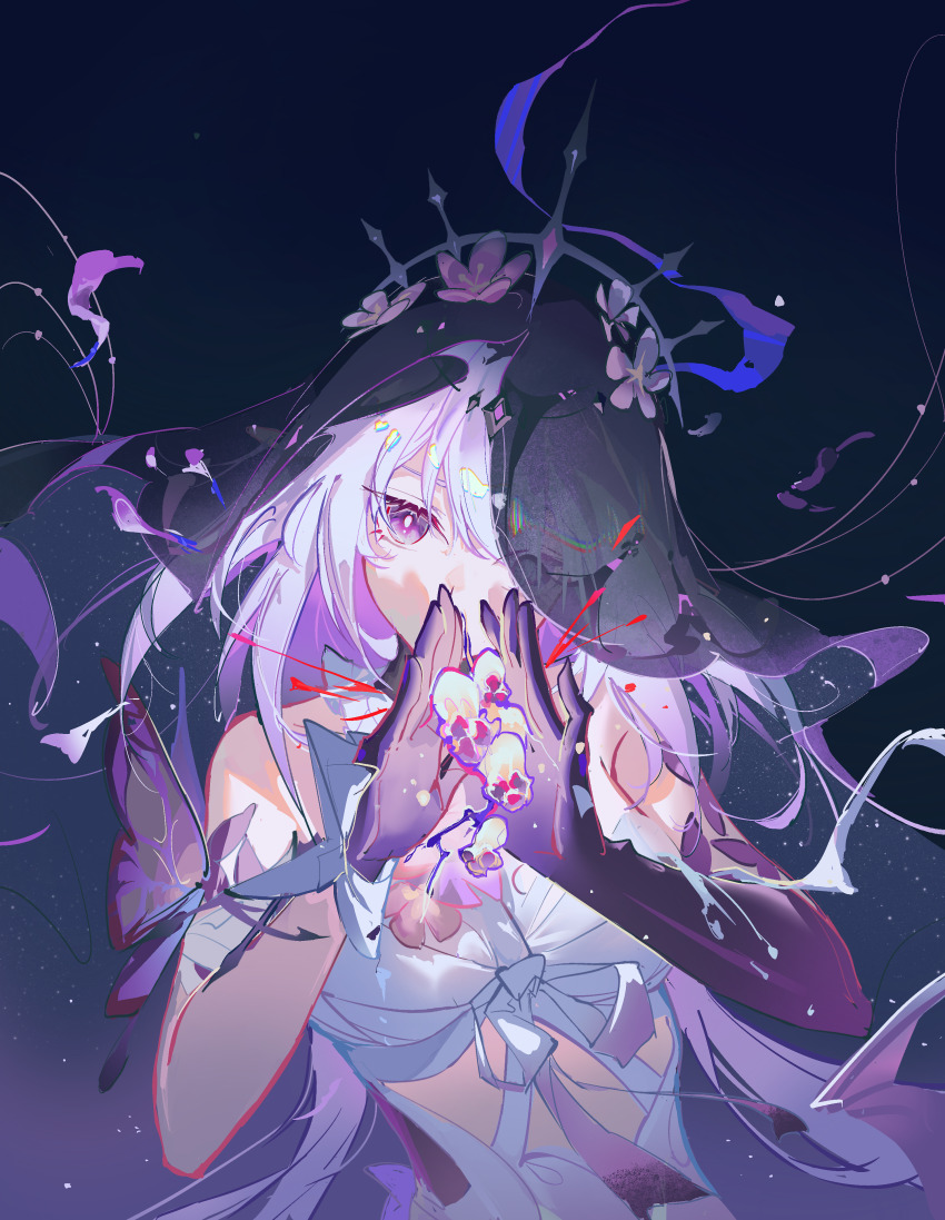 Castorice (Honkai: Star Rail) Rule 34 Image