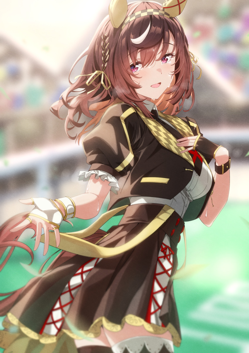 Buena Vista (Umamusume) Rule 34 Image
