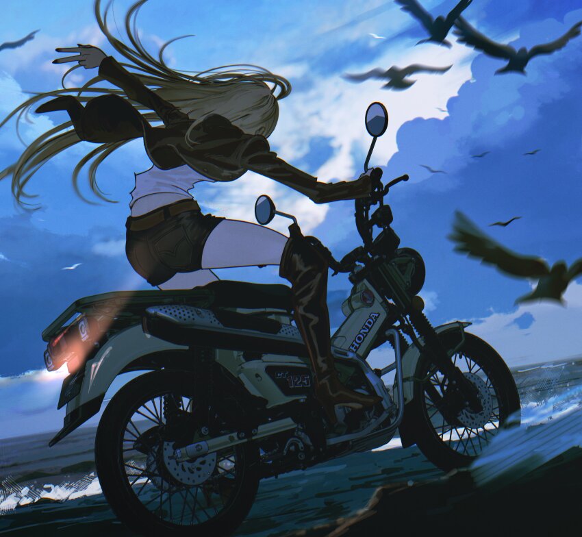 Honda Rule 34 Image