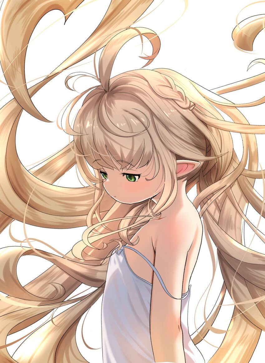 Granblue Fantasy Rule 34 Image