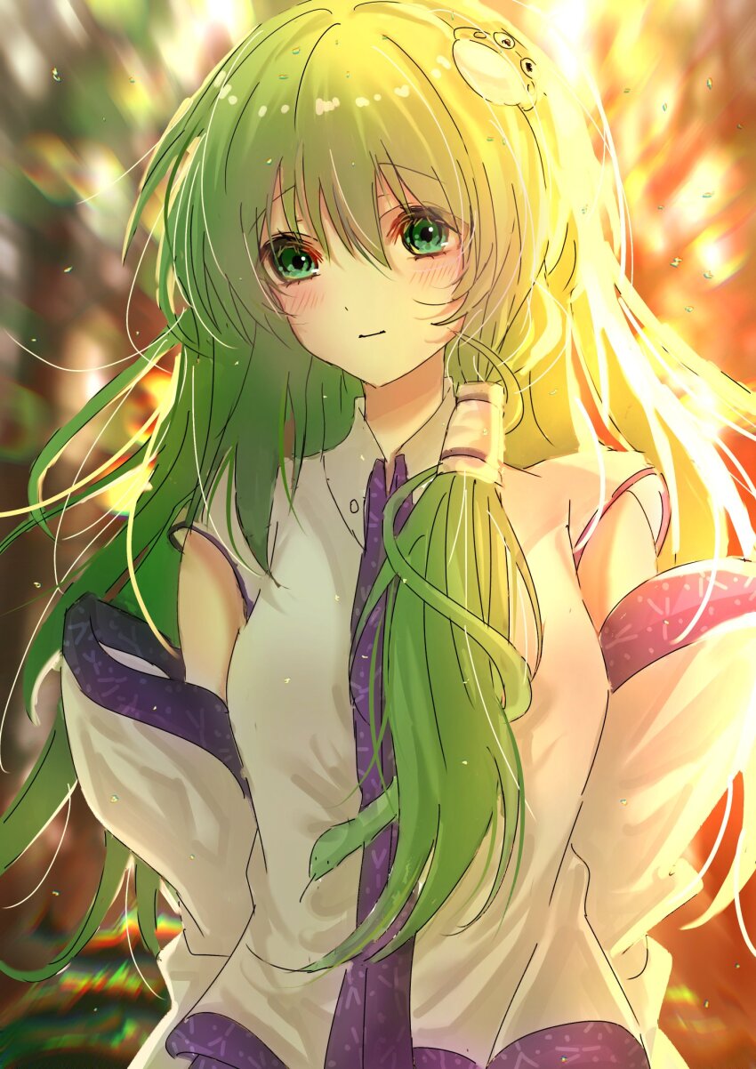 Kochiya Sanae (Touhou) Rule 34 Image