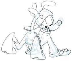 Animaniacs Rule 34 Image