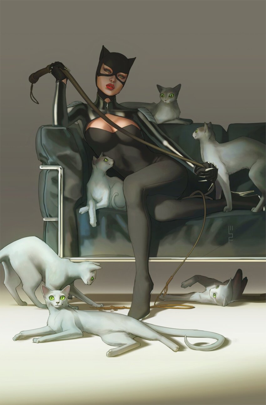 Catwoman (Batman (Series)) Rule 34 Image