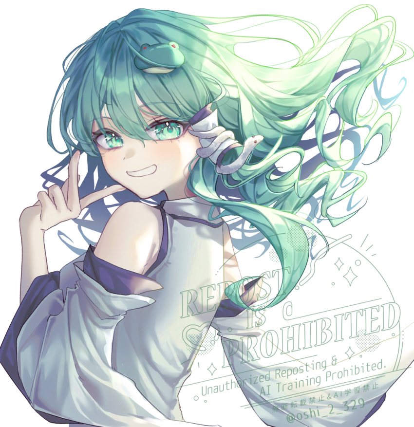 Kochiya Sanae (Touhou) Rule 34 Image