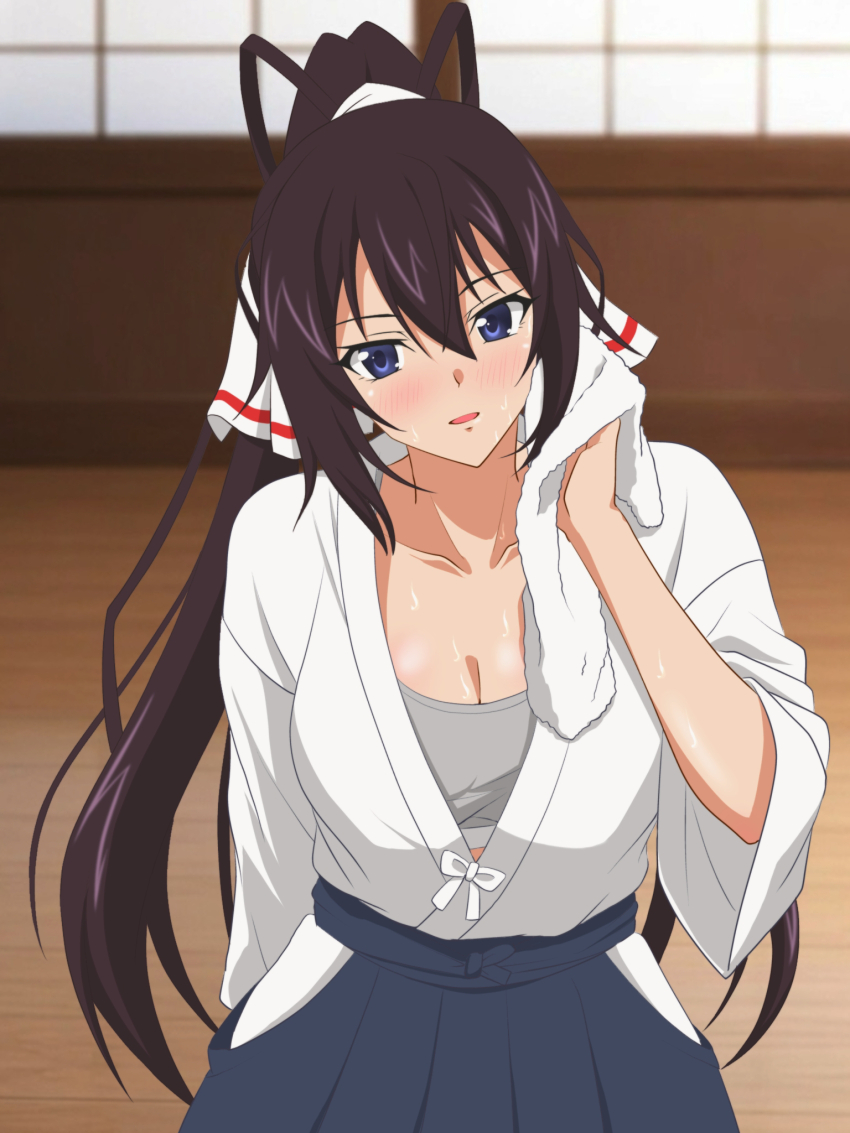 Shinonono Houki (Infinite Stratos) Rule 34 Image
