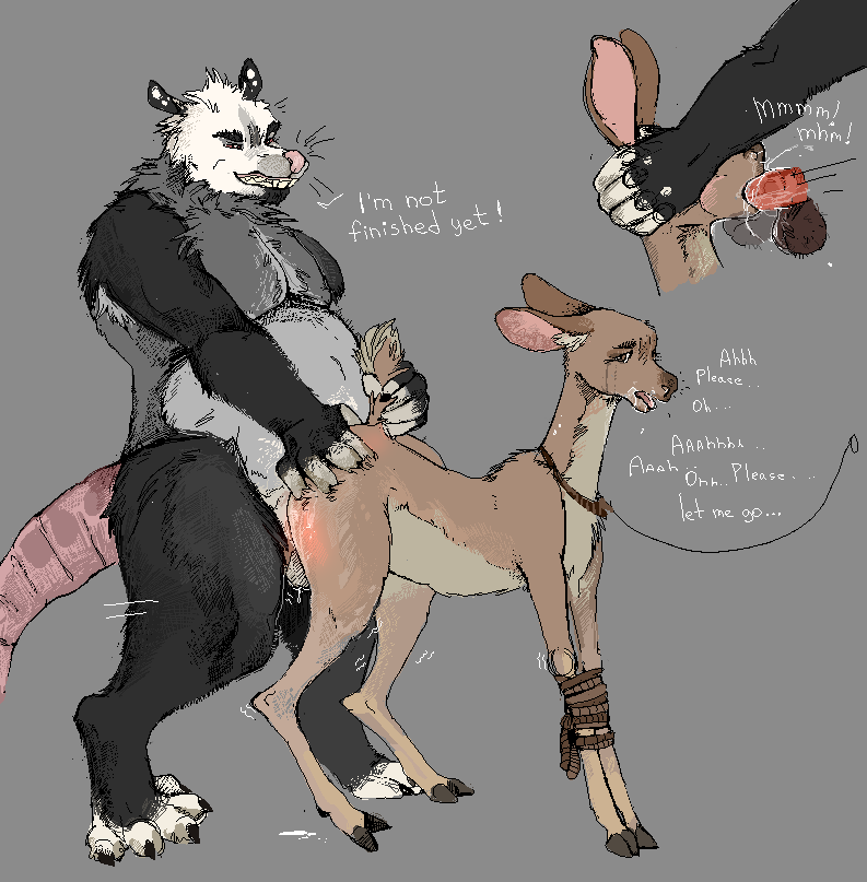 American Opossum Rule 34 Image