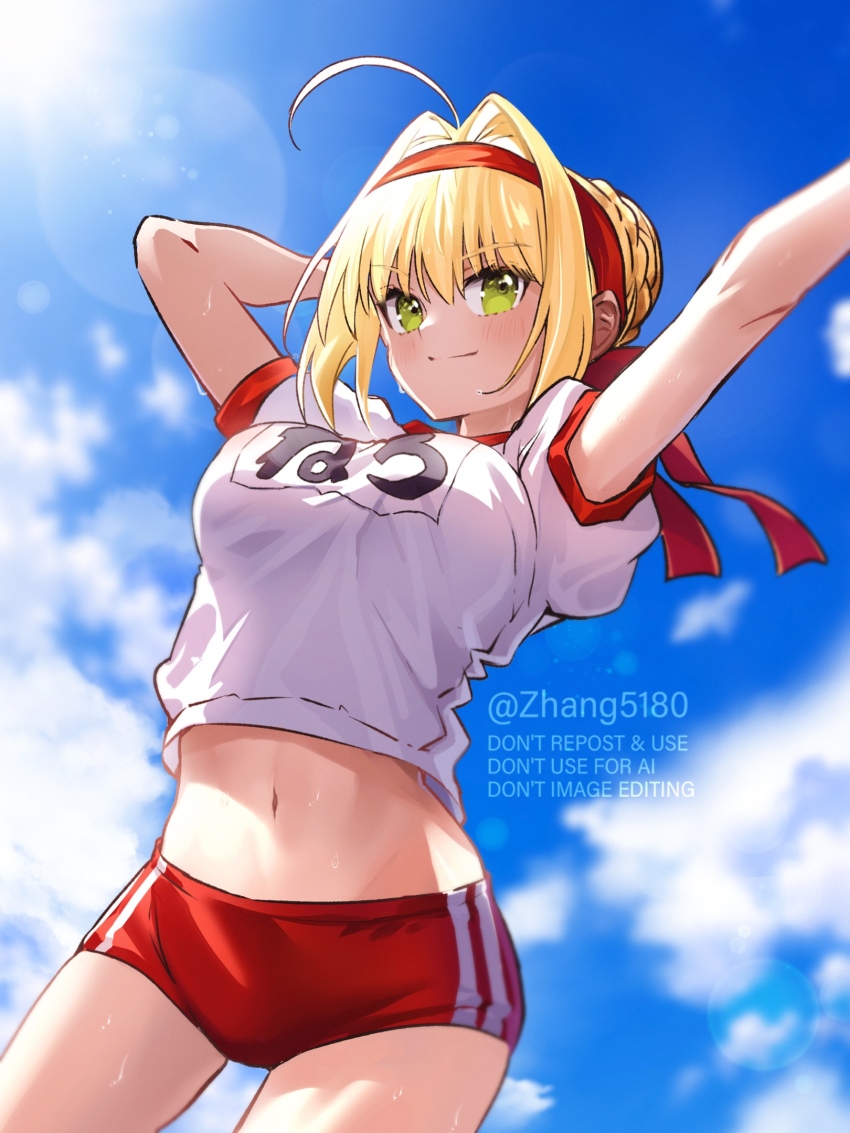 Nero Claudius (Fate) Rule 34 Image