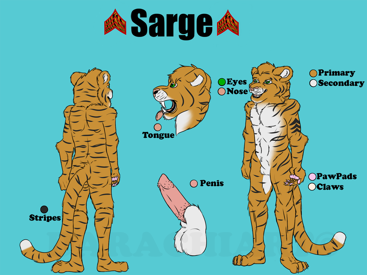 Anthro Rule 34 Image
