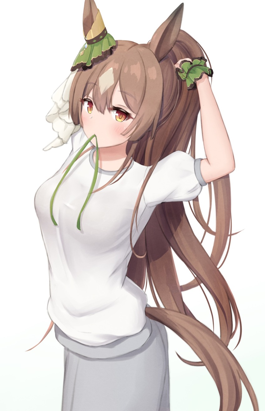 Satono Diamond (Umamusume) Rule 34 Image