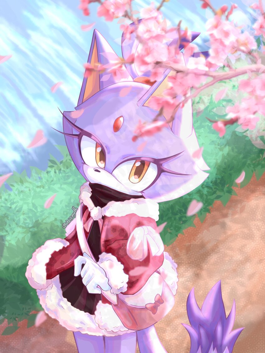 Blaze The Cat (Sonic (Series)) Rule 34 Image