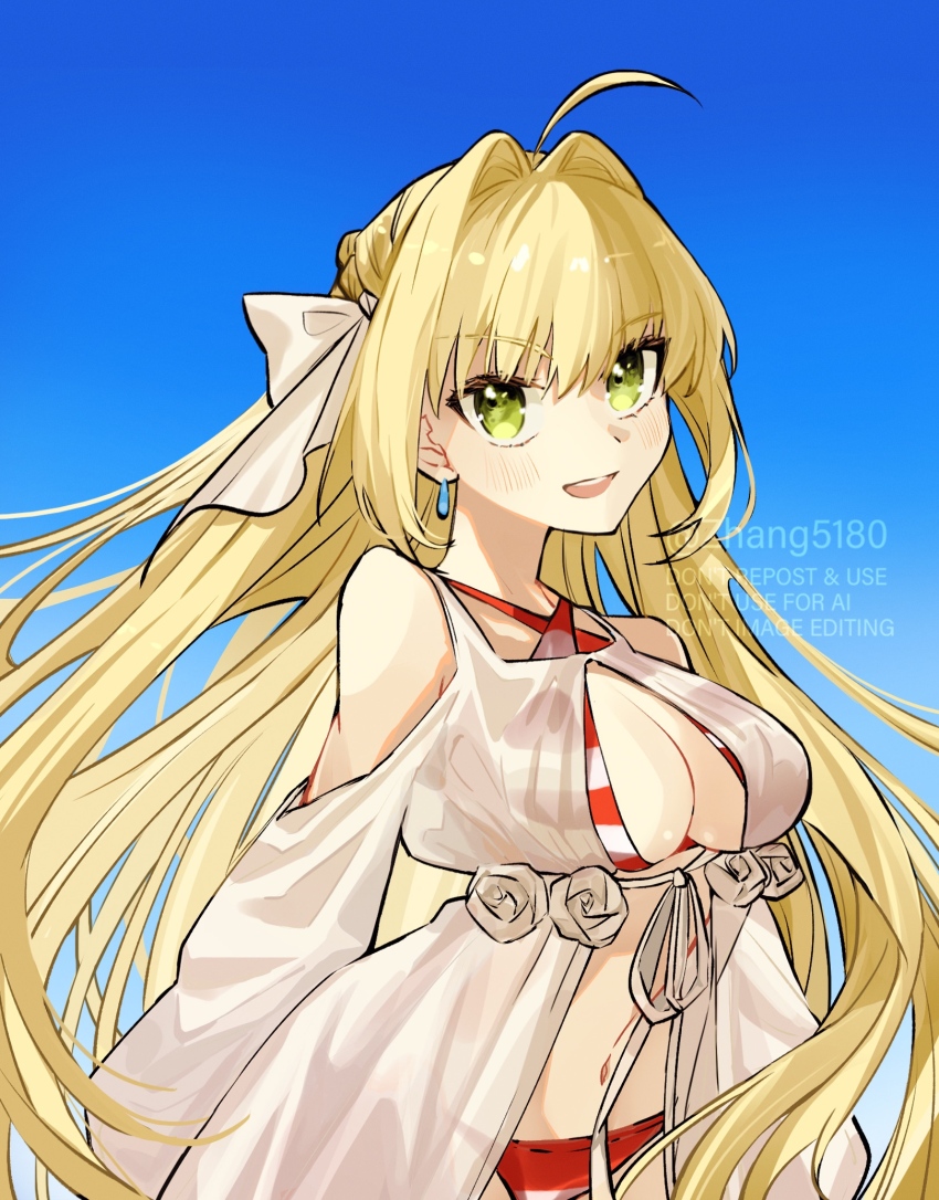 Nero Claudius (Fate) Rule 34 Image
