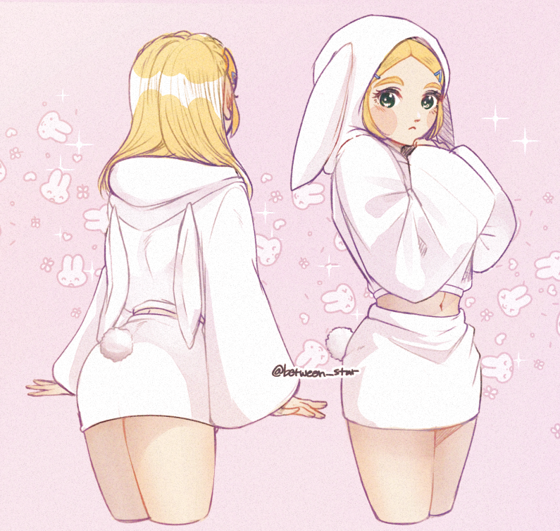 Princess Zelda (Nintendo) Rule 34 Image