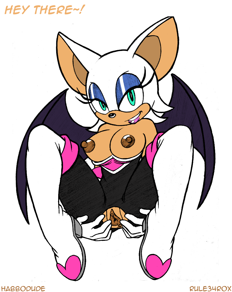 Rouge The Bat (Sega) Rule 34 Image