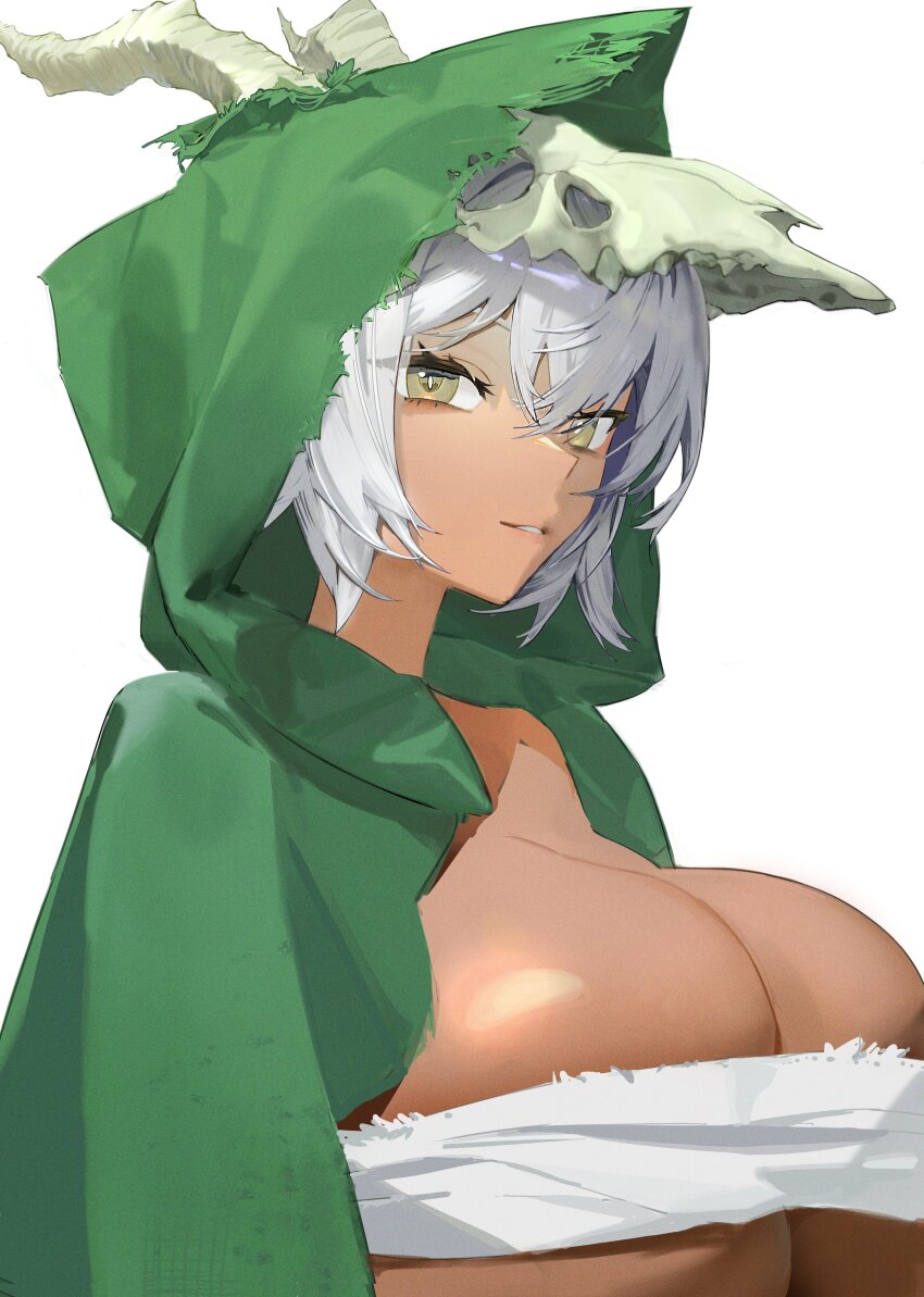 The Silent (Slay The Spire) Rule 34 Image
