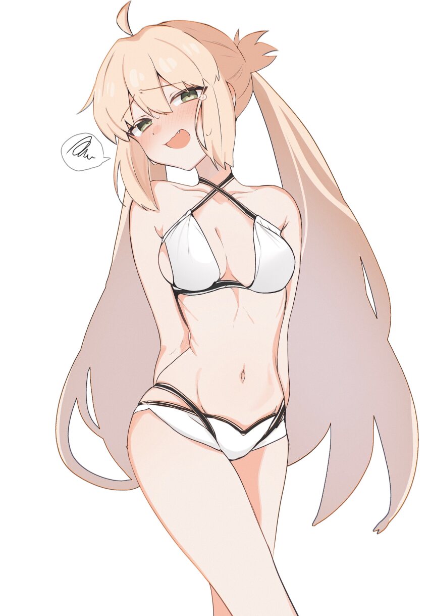 Artoria Caster (Fate) Rule 34 Image