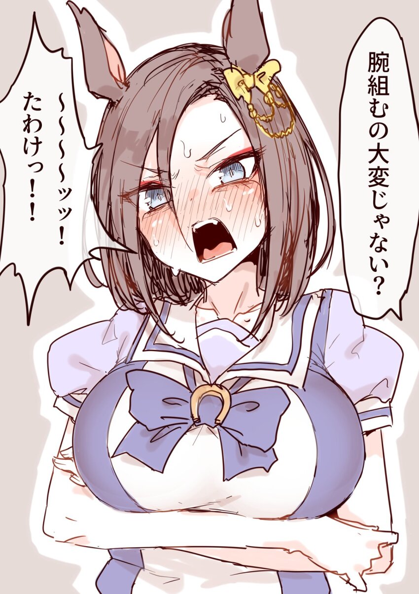 Air Groove (Umamusume) Rule 34 Image