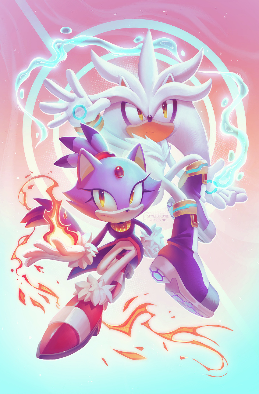 Blaze The Cat (Sonic (Series)) Rule 34 Image
