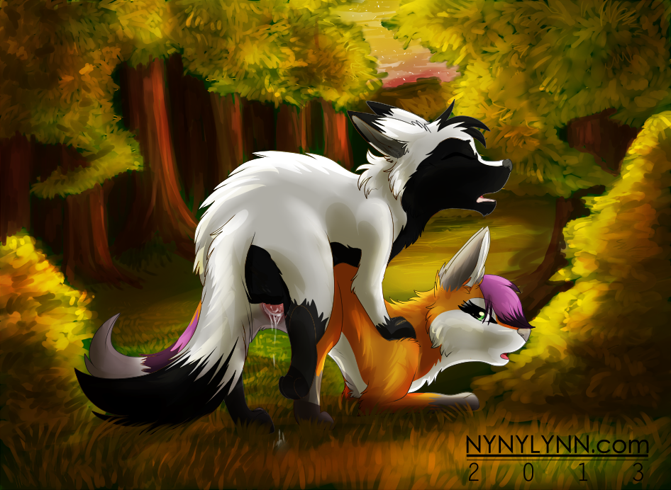 Black Fur Rule 34 Image