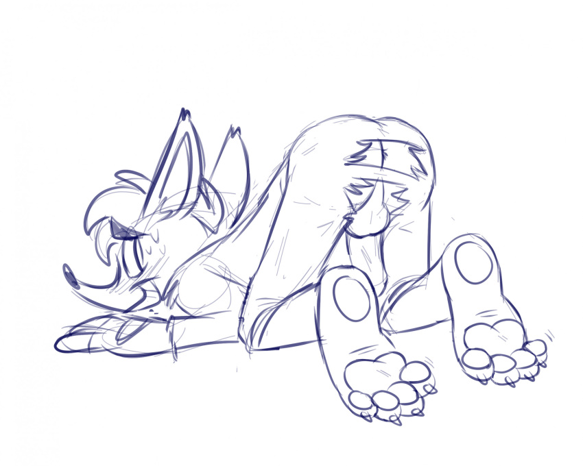 Crash Bandicoot (Crash (Series)) Rule 34 Image