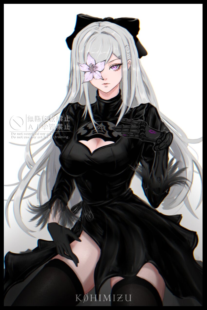 2b (Nier:Automata) Rule 34 Image
