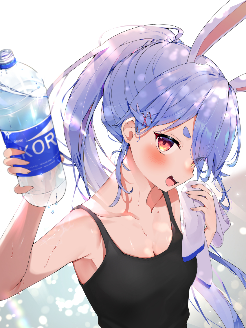 Usada Pekora (Hololive) Rule 34 Image