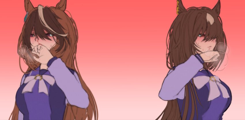 Sirius Symboli (Umamusume) Rule 34 Image