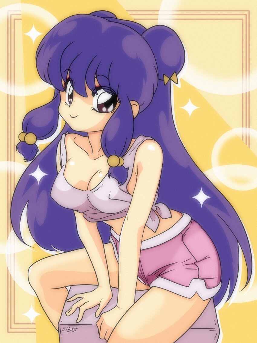 Shampoo (Ranma 1/2) Rule 34 Image