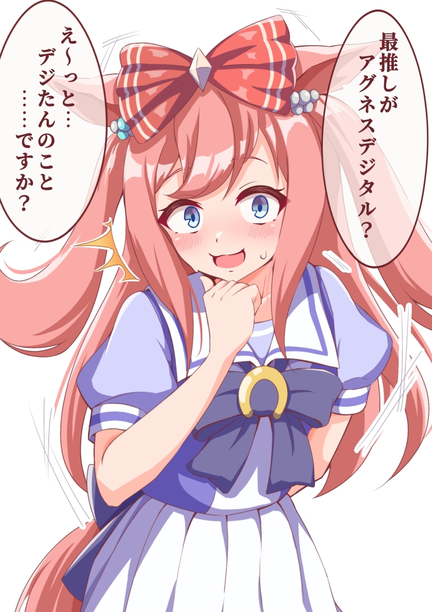 Agnes Digital (Umamusume) Rule 34 Image