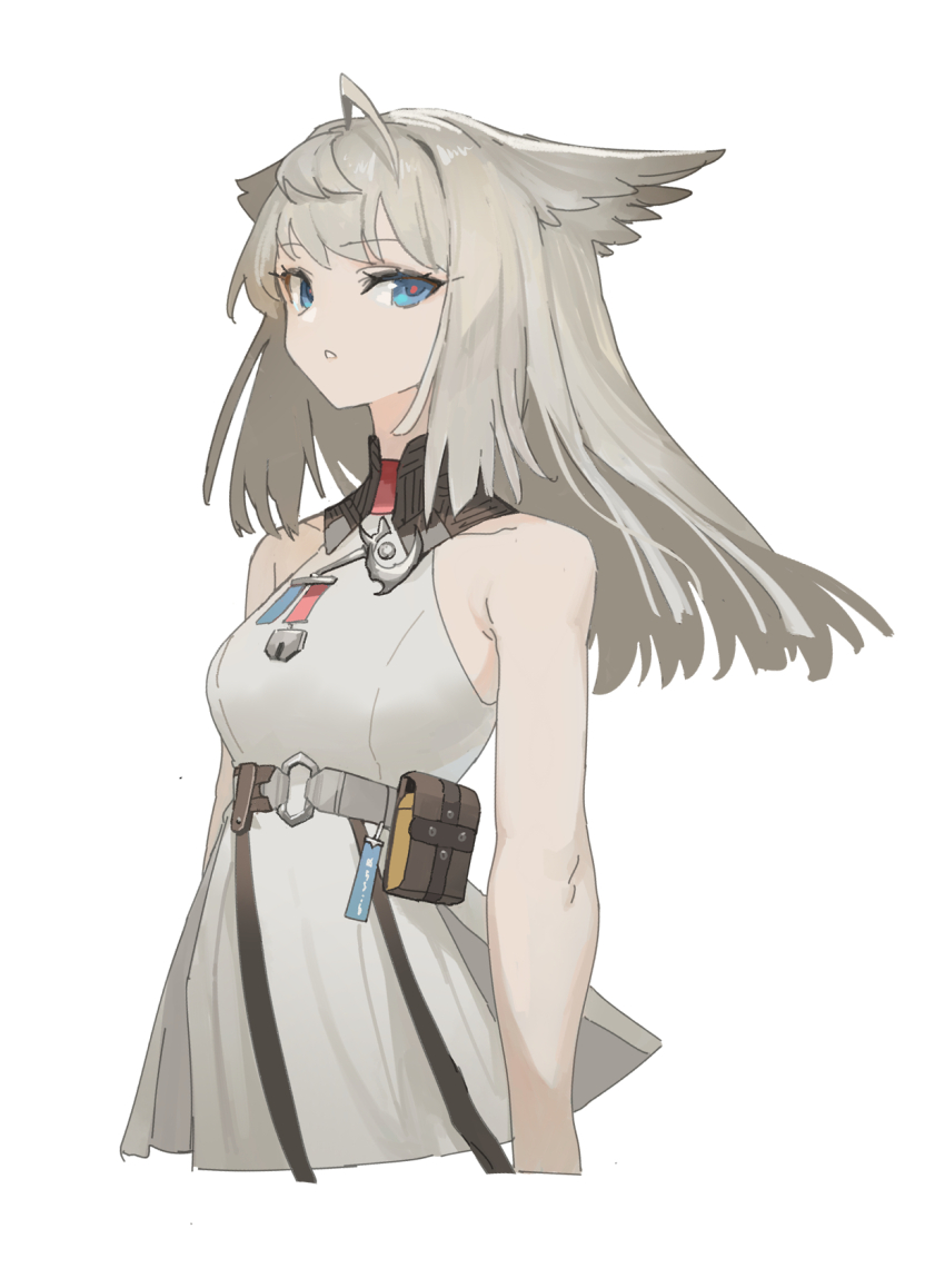 Perlica (Arknights) Rule 34 Image