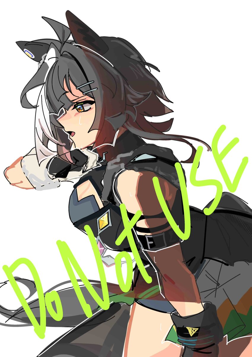 Umamusume Rule 34 Image