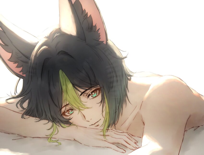 Tighnari (Genshin Impact) Rule 34 Image