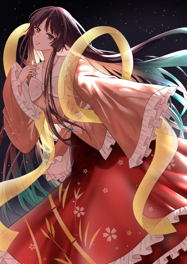Houraisan Kaguya (Touhou) Rule 34 Image