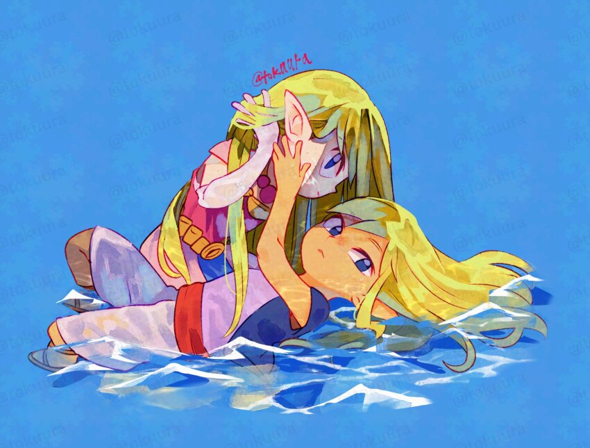 Princess Zelda (Nintendo) Rule 34 Image
